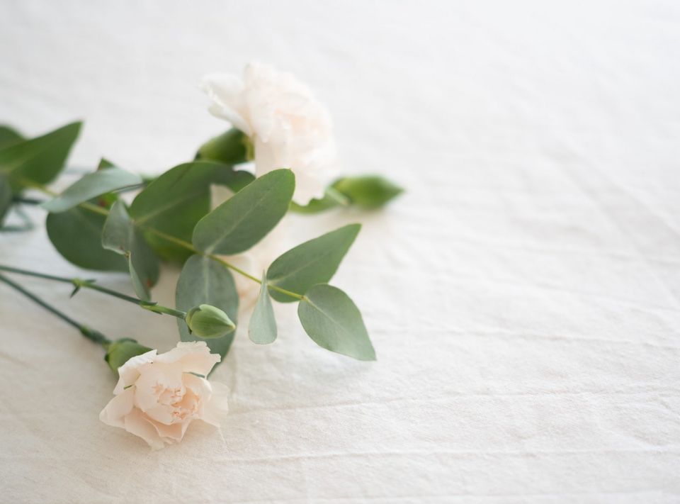 Off white flowers